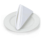White Napkins White Napkins